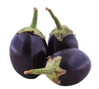 Aubergine – بینگن