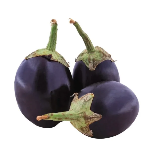 Aubergine - بینگن