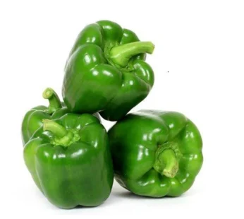 Capsicum – شملہ مرچ