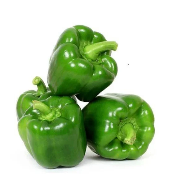 Capsicum - شملہ مرچ