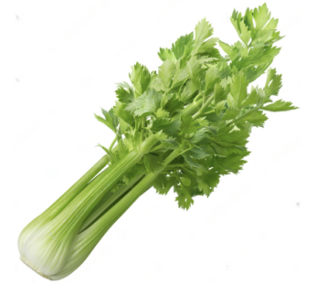 Celery – Heirloom farms