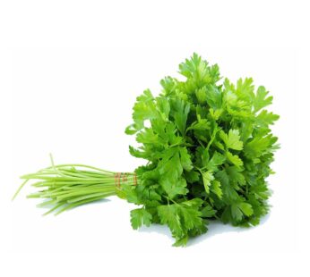 Coriander – دھنیا