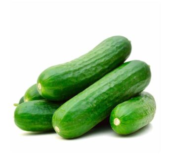 Cucumber – کھیرا