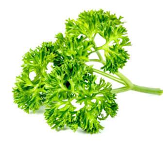 Curly Parsley – Heirloom farms