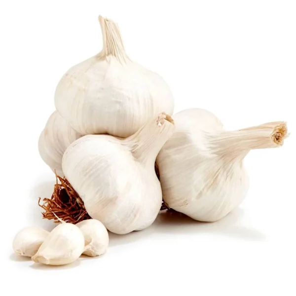 Garlic لہسن