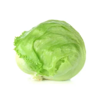 Iceberg Lettuce (آئس برگ لیٹش)