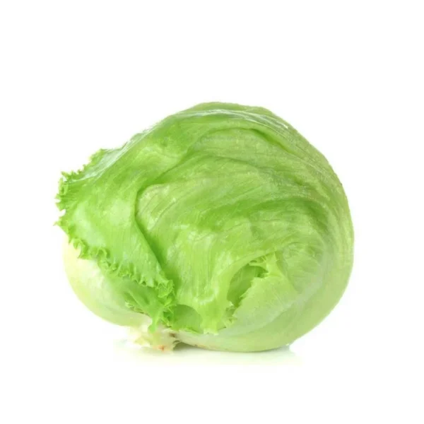 Iceberg Lettuce (آئس برگ لیٹش)