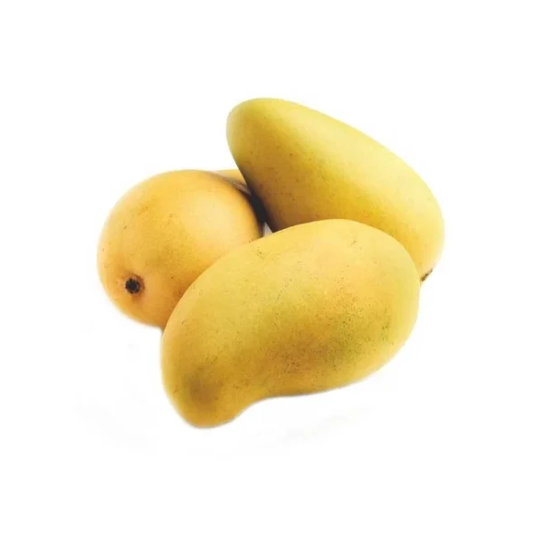 Mango Sindhri - آم سندھڑی