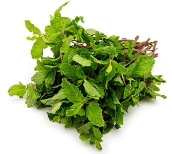 Mint – پودینہ