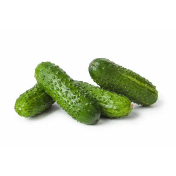 Pickling Cucumbers-- Heirloom farms