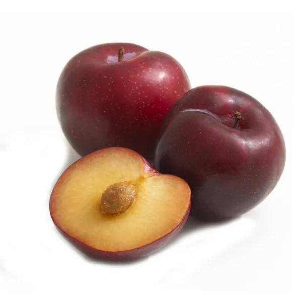 Plum -آلو بخارا