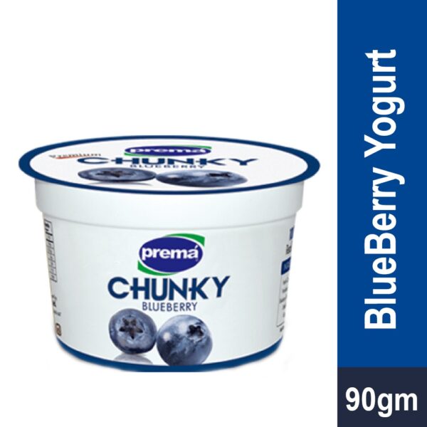 Prema Chunky Blueberry Fruit Yogurt