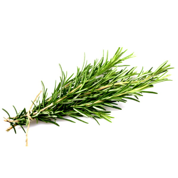 Rosemary - Heirloom farms