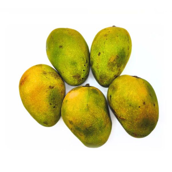 Saharni Mango - سحرنی آم