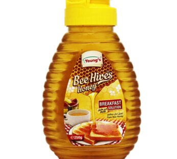 Youngs Bee Hive Honey Bottle