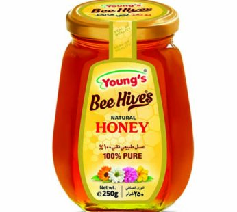 Youngs Honey Natural Glass Jar