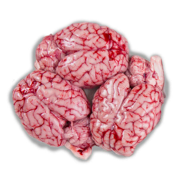 Mutton Brain 3(PCs) - F&C Meat Mart