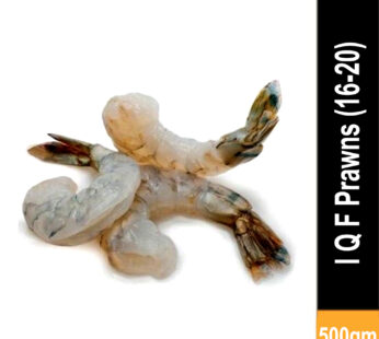 Prawns IQF Tail on size 16/20