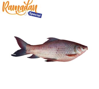 Rahu Fish (Prime Cut) – Almees